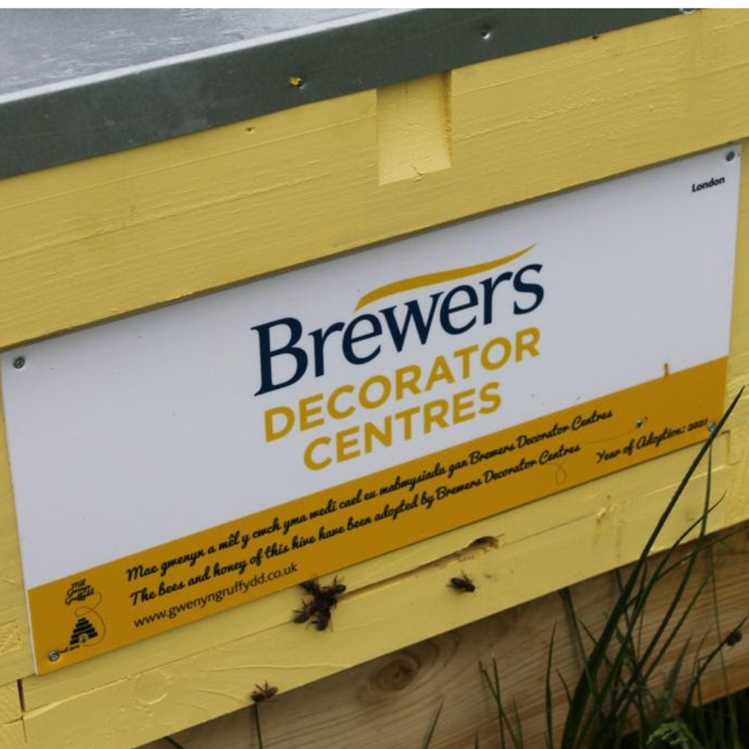 Adopt a Bee with Albany